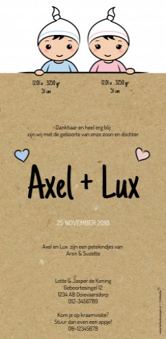 Geboortekaartje DIY tweeling - Axel en Lux GB achter