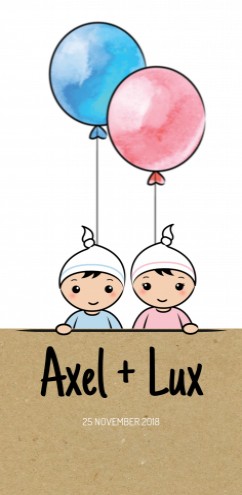 Geboortekaartje DIY tweeling - Axel en Lux GB voor