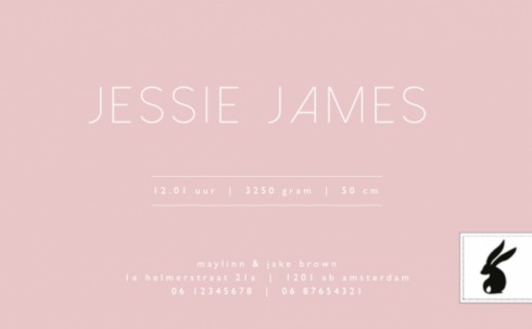 Geboortekaartje Dots Jessie - MC