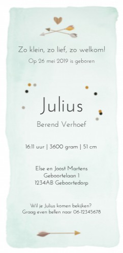 Geboortekaartje - Beertje Julius - SV