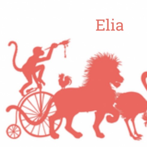 Geboortekaartje Elia - GA achter