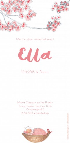 Geboortekaartje Ella - EB