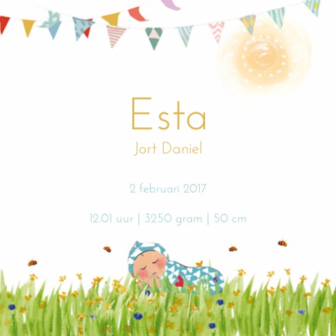 Geboortekaartje Esta - EB