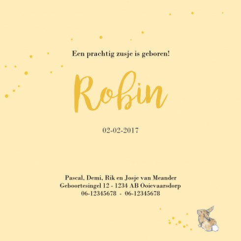 Geboortekaartje Robin - EB