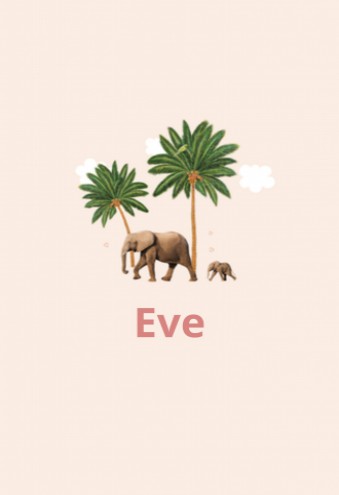 Geboortekaartje Eve - LK