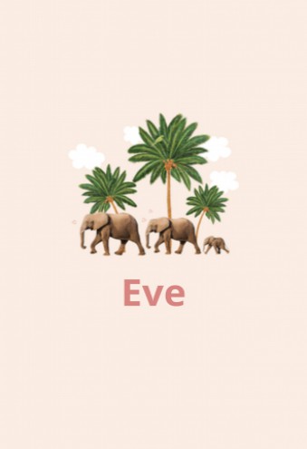 Geboortekaartje Eve variant - LK
