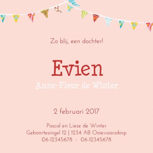 Geboortekaartje Evien - EB