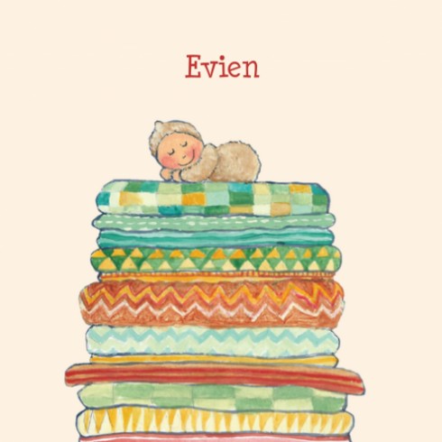 Geboortekaartje Evien - EB voor