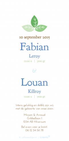 Geboortekaartje Fabian en Louan - GB