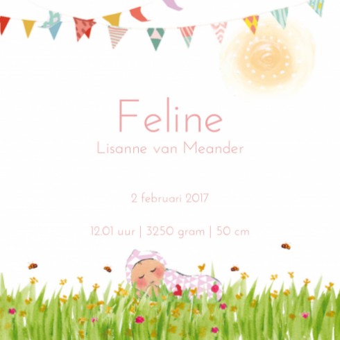 Geboortekaartje Feline - EB