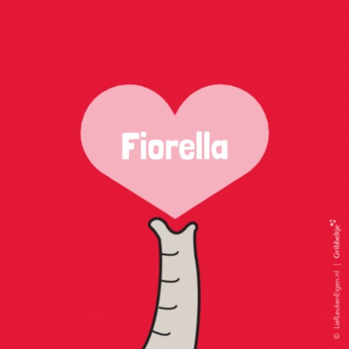 Geboortekaartje Fiorella - Gb