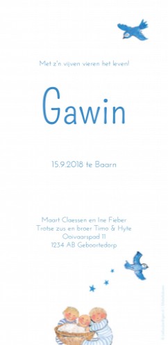 Geboortekaartje Gawin met broers - EB achter