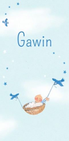Geboortekaartje Gawin met broers - EB