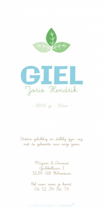 Geboortekaartje Giel - GB achter