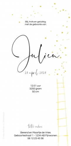 Geboortekaartje giraf Julien - EB achter