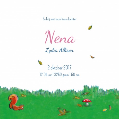 Geboortekaartje Nena - JH