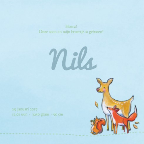 Geboortekaartje herfst Nils - JH