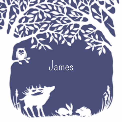 Geboortekaartje James - GA voor