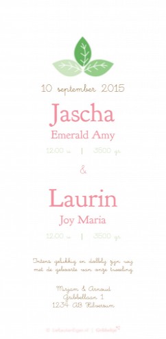 Geboortekaartje Jascha en Laurin - GB