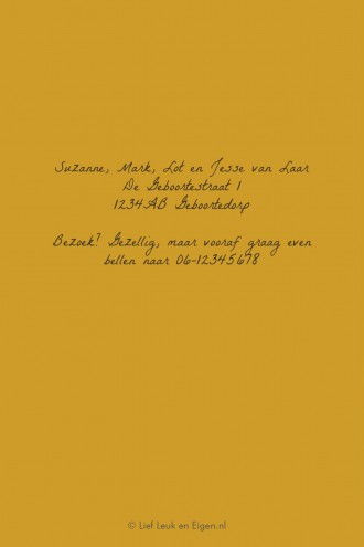 Geboortekaartje Beertje Jesse - SV