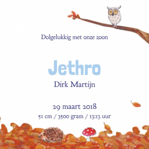 Geboortekaartje Jethro - EB