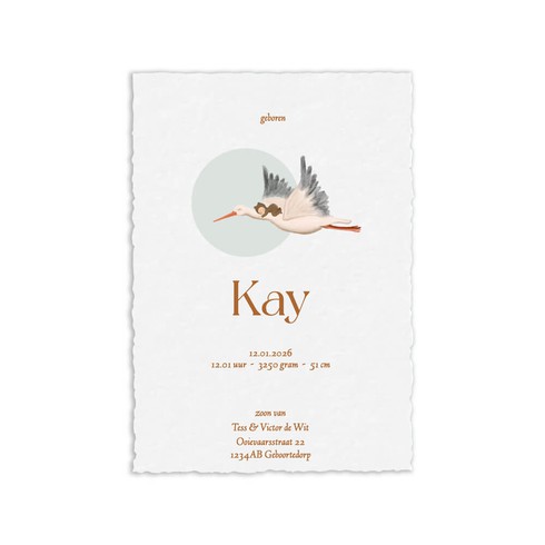 Geboortekaartje illustratie van baby op ooievaar op handgeschept papier - Kay