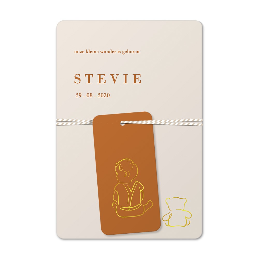 Geboortekaartje jongenskaartje met teddybeer knuffel en labeltje - Stevie