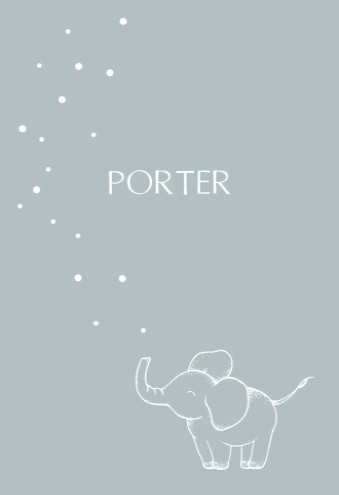 Geboortekaartje jongens met olifant - Porter