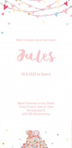 Geboortekaartje Jules - EB
