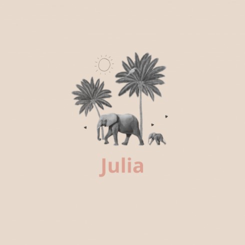 Geboortekaartje Julia - LK voor