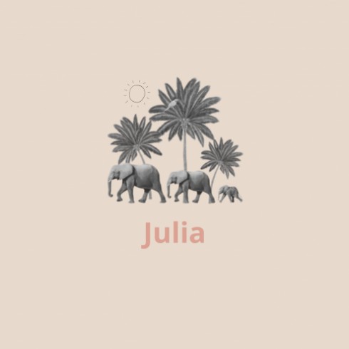 Geboortekaartje Julia variant