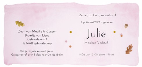 Geboortekaartje - Julie - SV achter