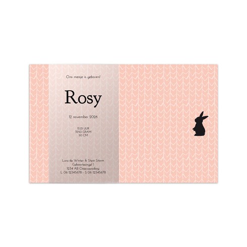 Geboortekaartje met konijntje in roze met kalkwikkel - Rosy