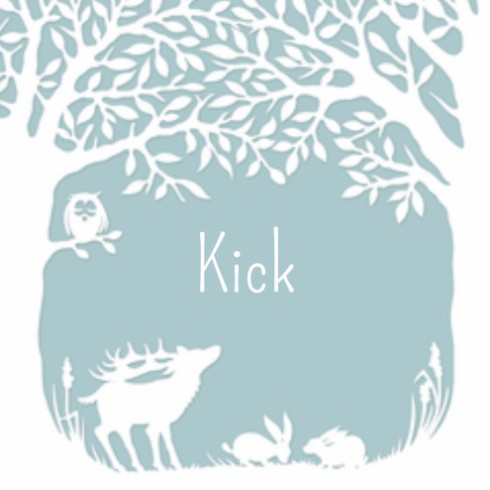 Geboortekaartje Kick - GA voor