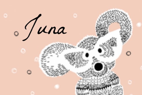 Geboortekaartje knuffel muis - Juna