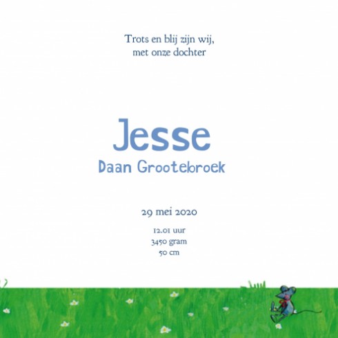 Geboortekaartje Jesse - JH