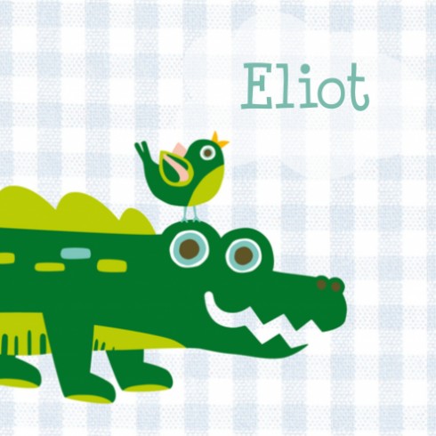 Geboortekaartje krokodil - Eliot - HK voor