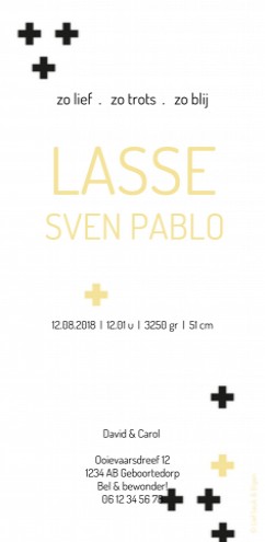 Geboortekaartje Lasse- ZZ achter