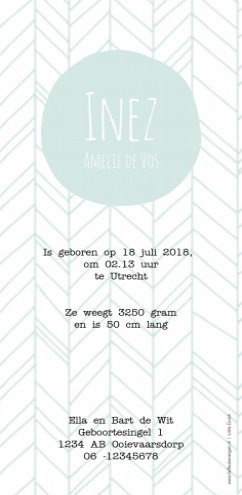 Geboortekaartje leaves mint - LD DIY