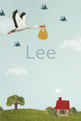 Geboortekaartje Lee - LK voor