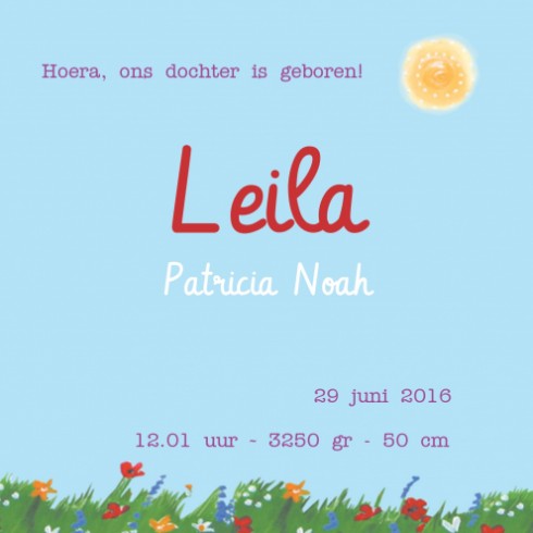 Geboortekaartje Leila met zus - EB