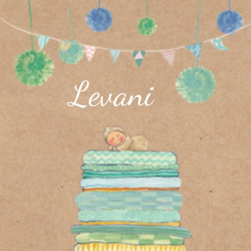 Geboortekaartje Levani met zus - EB voor