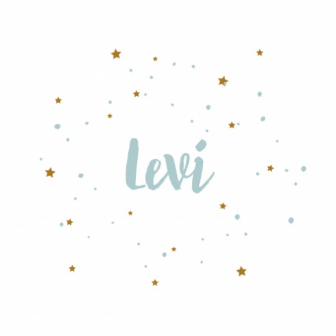 Geboortekaartje Levi - DIY voor