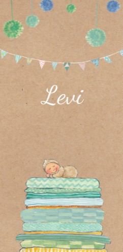 Geboortekaartje Levi met broers- EB