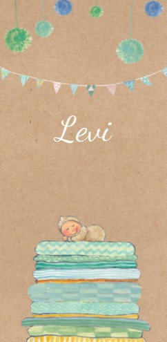 Geboortekaartje Levi met zusje - EB