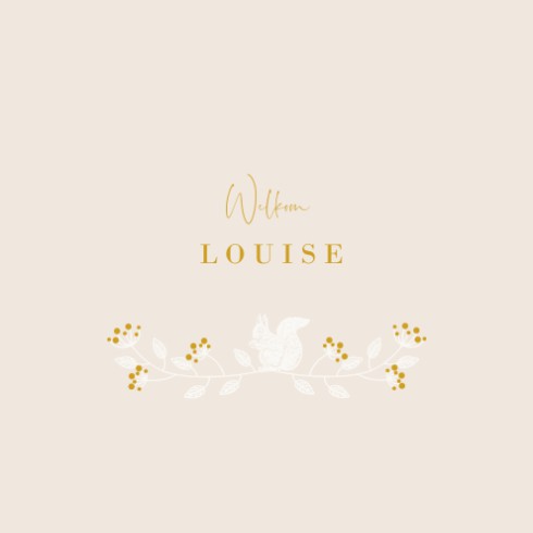 Geboortekaartje lief eekhoorntje met folie - Louise