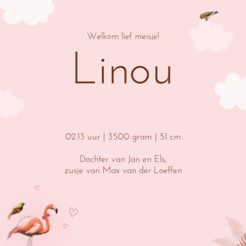 Geboortekaartje Linou - LK