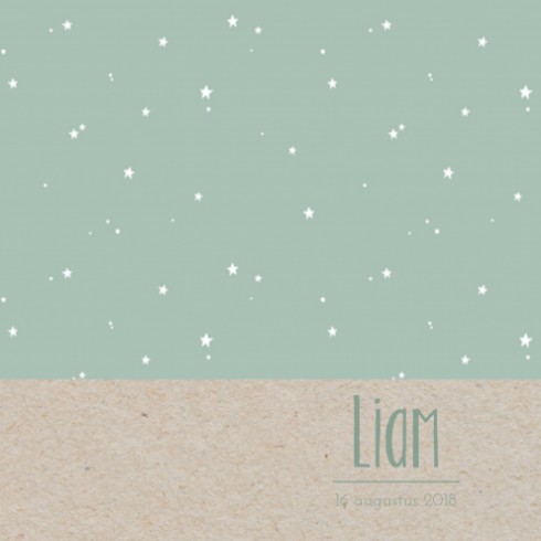 Geboortekaartje little stars Liam - LD