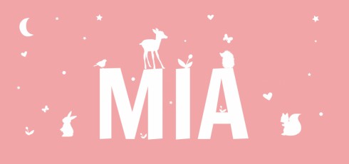 Geboortekaartje Mia - DIY
