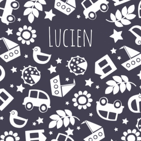 Geboortekaartje - Lucien - HK